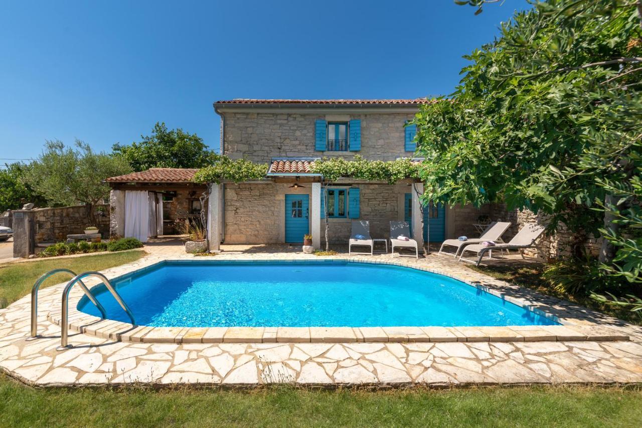 Villa Janko Sveti Lovreč Pazenatički Zewnętrze zdjęcie