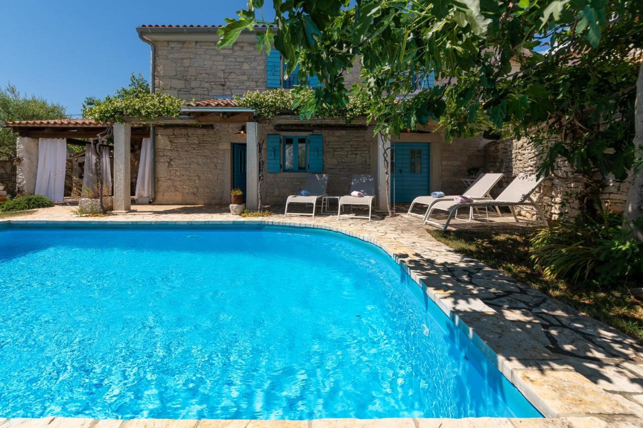 Villa Janko Sveti Lovreč Pazenatički Zewnętrze zdjęcie